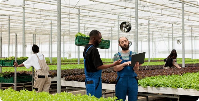 Agricultural Change: How I.Q. Technologies supports Contemporary Farming